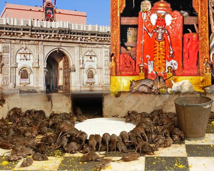 Shree Karni Mataji Temple