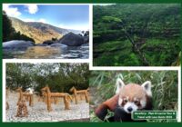 How to Plan a Himachal Pradesh Family Trip